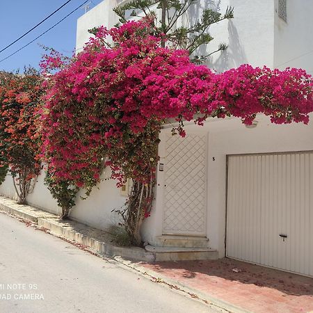 Etage De Villa Avec Jardin, Pres De L'Aireport Et Parking Prive Арьяна Экстерьер фото