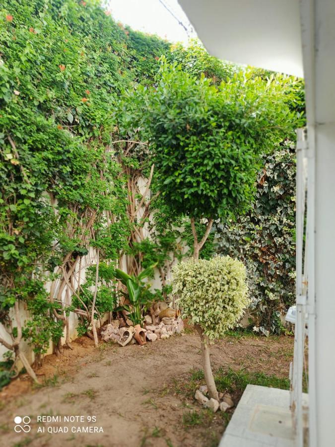 Etage De Villa Avec Jardin, Pres De L'Aireport Et Parking Prive Арьяна Экстерьер фото