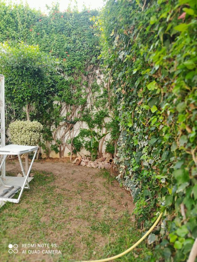 Etage De Villa Avec Jardin, Pres De L'Aireport Et Parking Prive Арьяна Экстерьер фото