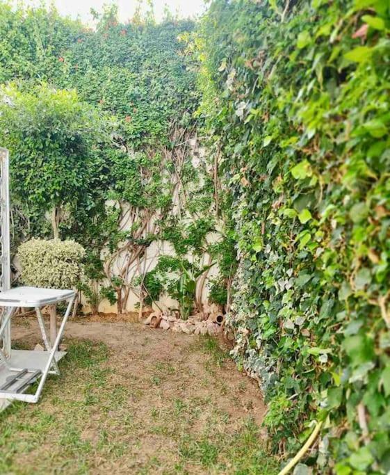 Etage De Villa Avec Jardin, Pres De L'Aireport Et Parking Prive Арьяна Экстерьер фото