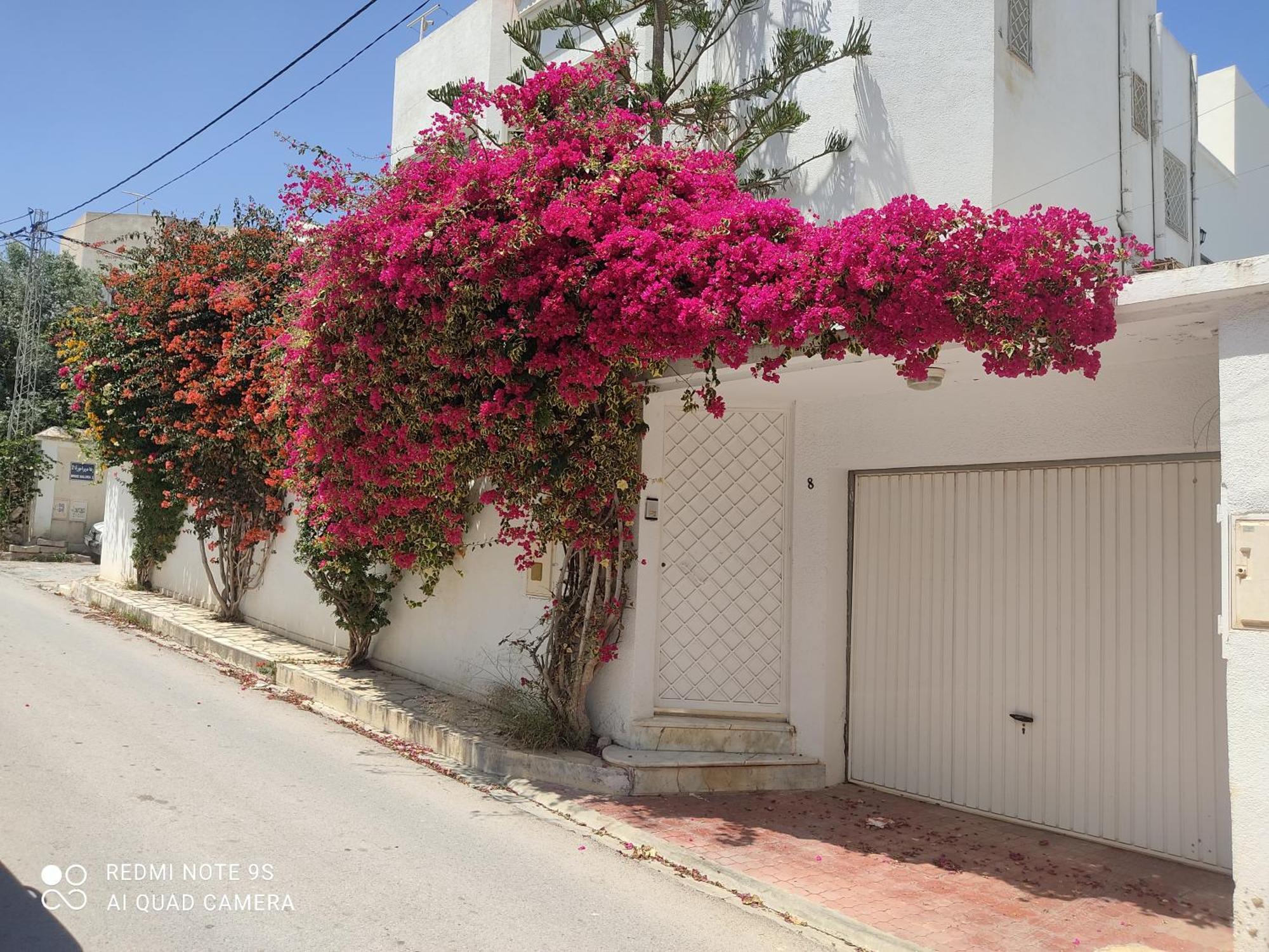 Etage De Villa Avec Jardin, Pres De L'Aireport Et Parking Prive Арьяна Экстерьер фото