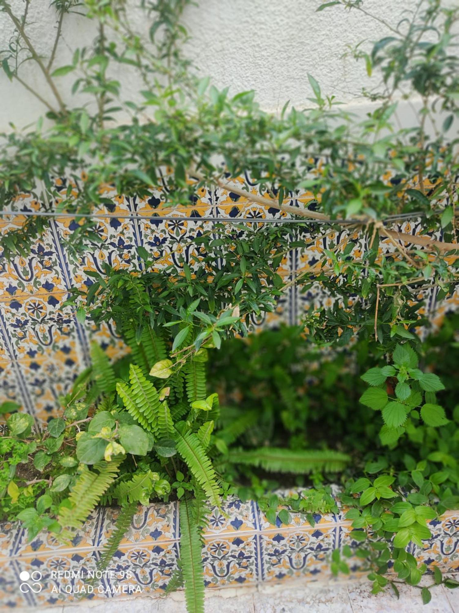 Etage De Villa Avec Jardin, Pres De L'Aireport Et Parking Prive Арьяна Экстерьер фото
